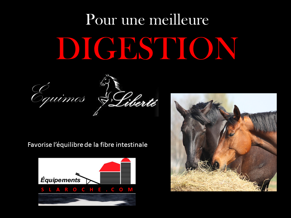nutrition_alimentation-cheval_digestion-cheval